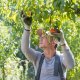 Edenred premiază producătorii locali în proiectul „Țara lui Mai Bine”